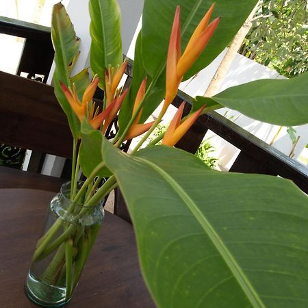 Chalisa Villas เกาะเต่า ภายนอก รูปภาพ